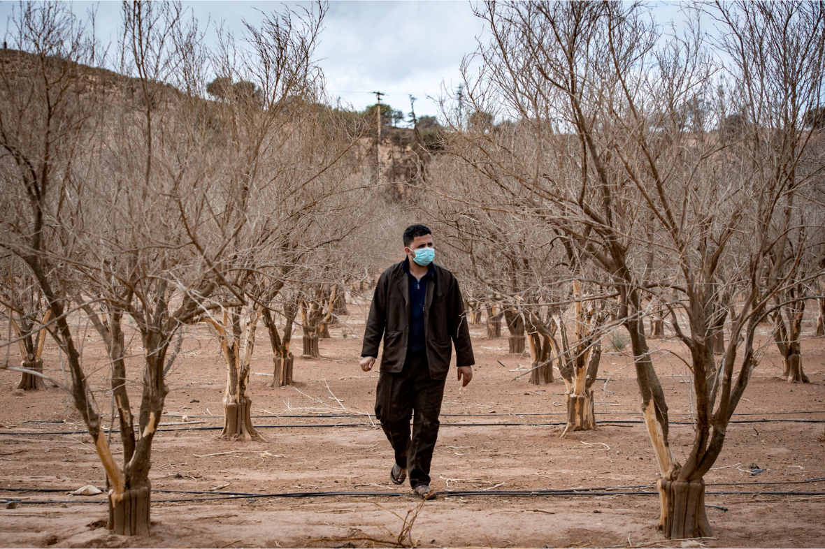 خطورة التغيرات المناخية على الزراعة والسياحة والمياه والصحة والطاقة