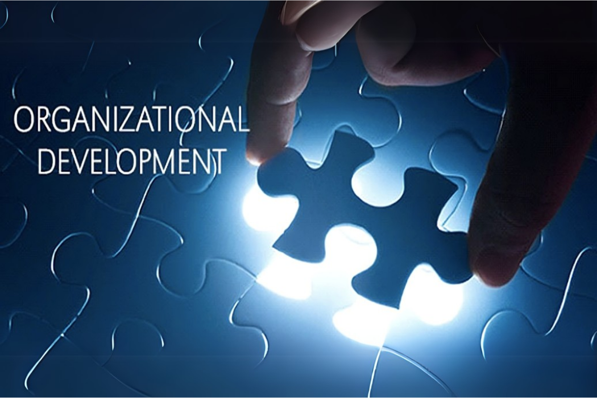 دورة التطوير التنظيمي OD